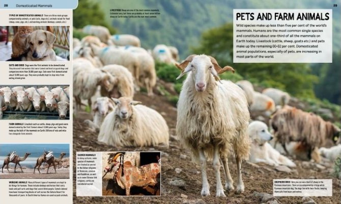 age of mammals landscape 3